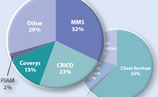 PHS Annual Report 2015 Financial Review