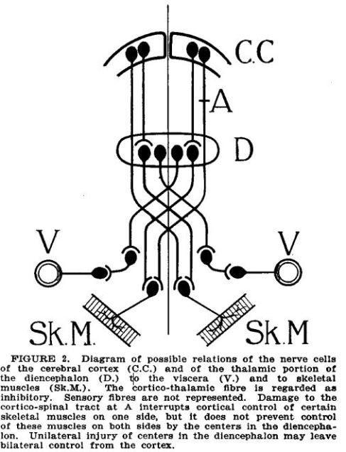 1928 Figure 2