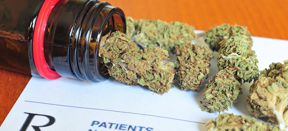 Dry medical marijuana buds