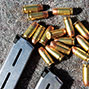 Firearms badge