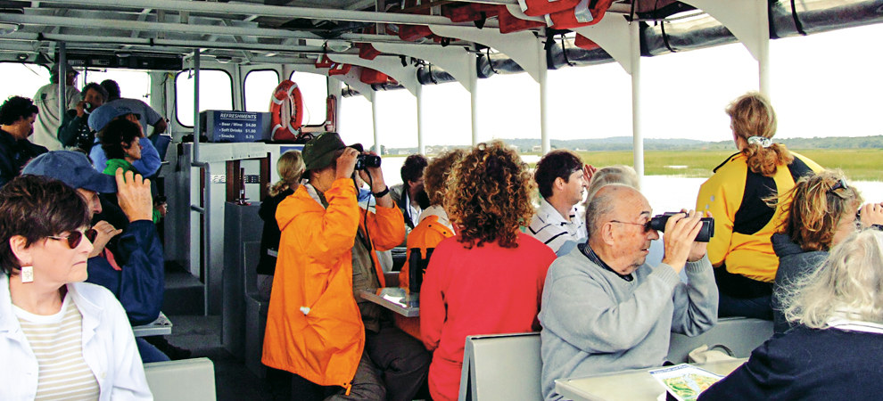 Members and families enjoy a natural history tour of Plum Island