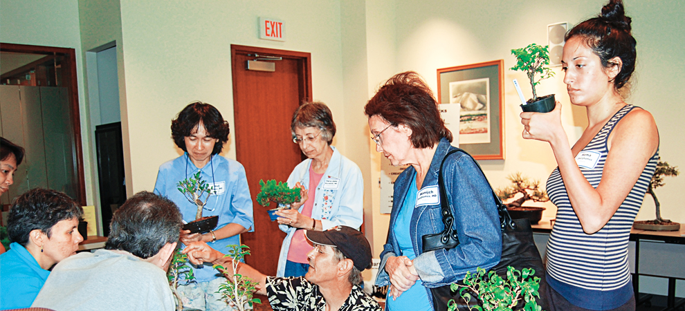 Mai Phan, MD, Sara-Jane Kornblith, MD, Manijeh Zarghamee, MD, and others learn how to create bonsai