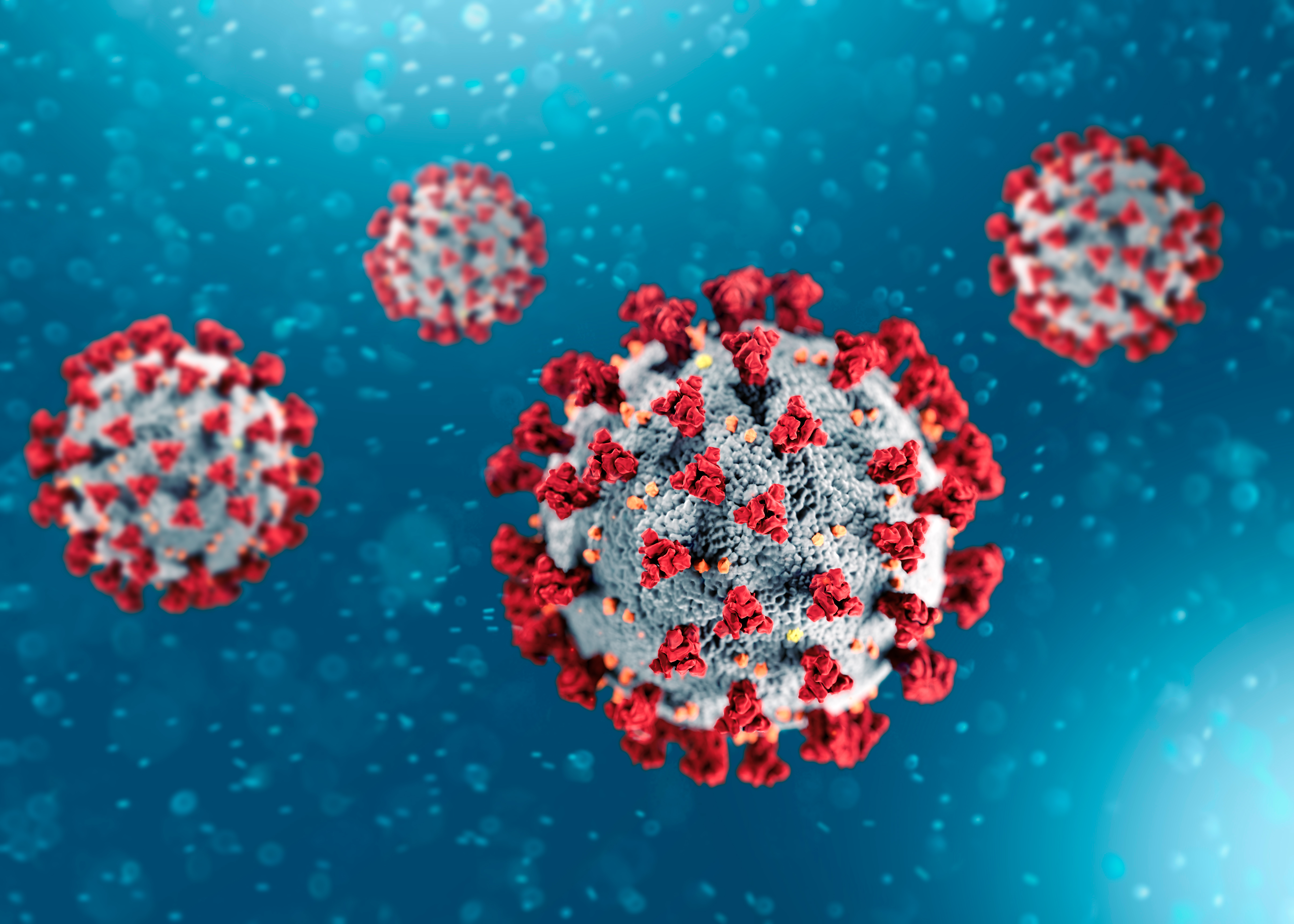 Novel Coronavirus image