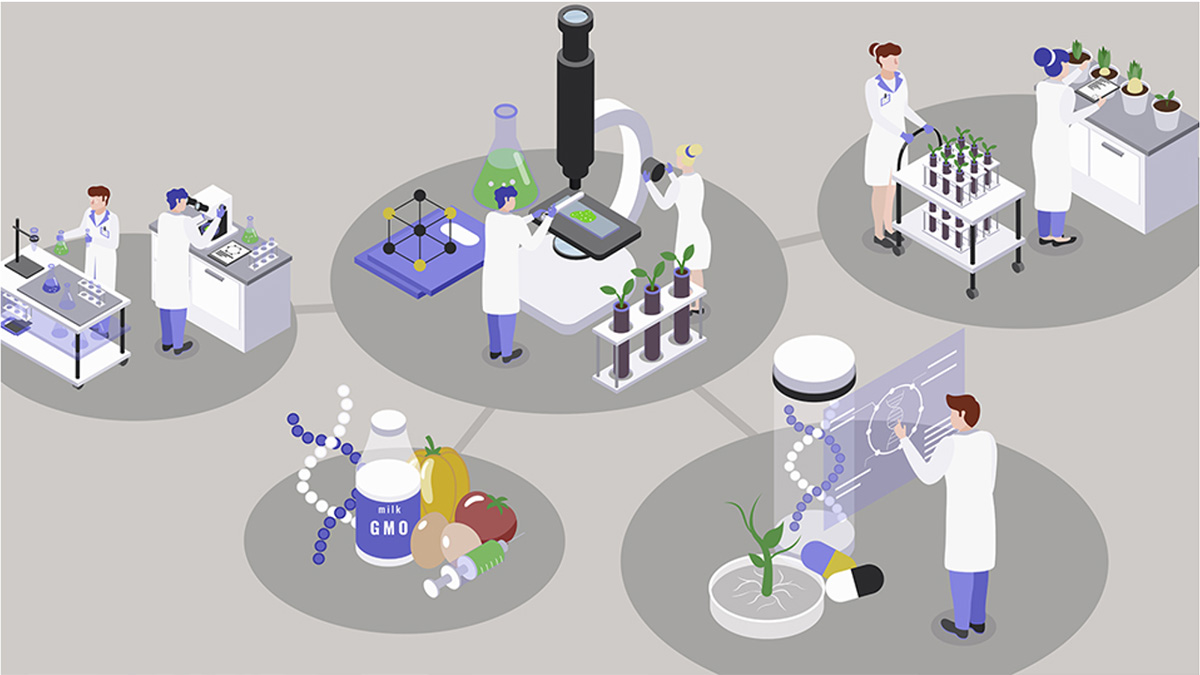 Primer for Aspiring Startup Chief Medical Officers